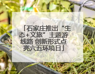 石家庄推出“生态+文旅”主题游线路 创新形式点亮六五环境日