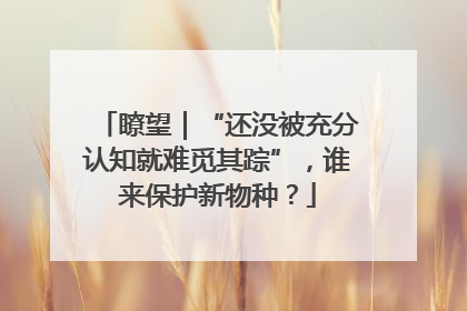 瞭望｜“还没被充分认知就难觅其踪”，谁来保护新物种？