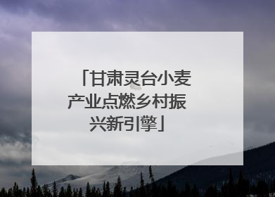 甘肃灵台小麦产业点燃乡村振兴新引擎