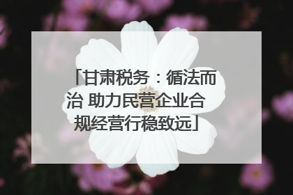 甘肃税务：循法而治 助力民营企业合规经营行稳致远