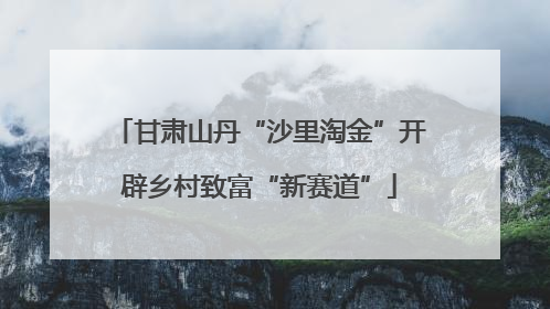 甘肃山丹“沙里淘金”开辟乡村致富“新赛道”