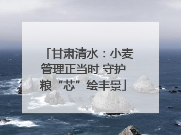 甘肃清水：小麦管理正当时 守护粮“芯”绘丰景
