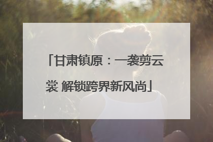 甘肃镇原：一袭剪云裳 解锁跨界新风尚