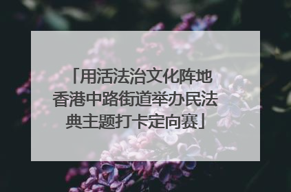 用活法治文化阵地 香港中路街道举办民法典主题打卡定向赛