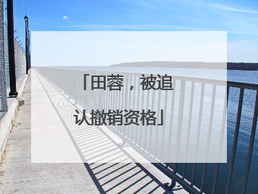 田蓉，被追认撤销资格
