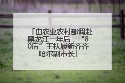 由农业农村部调赴黑龙江一年后，“80后”王杕履新齐齐哈尔副市长