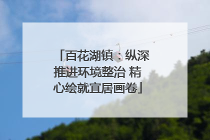 百花湖镇：纵深推进环境整治 精心绘就宜居画卷