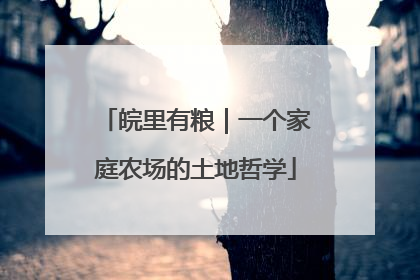 皖里有粮｜一个家庭农场的土地哲学