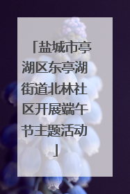 盐城市亭湖区东亭湖街道北林社区开展端午节主题活动