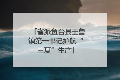 省派鱼台县王鲁镇第一书记护航“三夏”生产