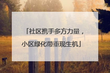 社区携手多方力量，小区绿化带重现生机