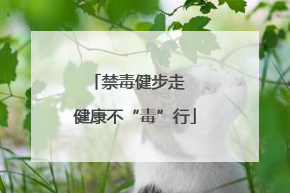禁毒健步走  健康不“毒”行
