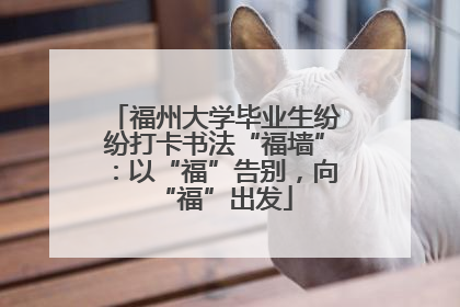 福州大学毕业生纷纷打卡书法“福墙”：以“福”告别，向“福”出发