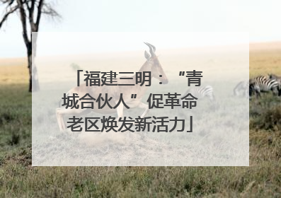 福建三明：“青城合伙人”促革命老区焕发新活力