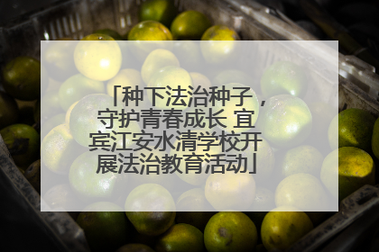种下法治种子，守护青春成长 宜宾江安水清学校开展法治教育活动