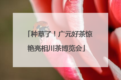种草了！广元好茶惊艳亮相川茶博览会