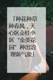 种花种草种春风，天心区金桂小区“金美花园”种出治理新气象