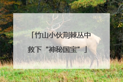 竹山小伙荆棘丛中救下“神秘国宝”