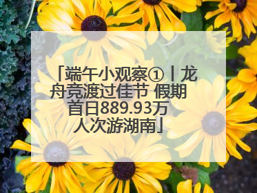 端午小观察①丨龙舟竞渡过佳节 假期首日889.93万人次游湖南
