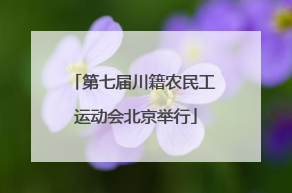 第七届川籍农民工运动会北京举行