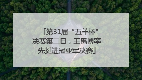 第31届“五羊杯”决赛第二日，王禹博率先挺进冠亚军决赛