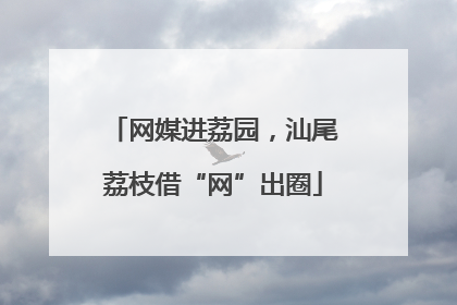网媒进荔园，汕尾荔枝借“网”出圈