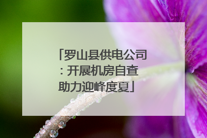 罗山县供电公司：开展机房自查 助力迎峰度夏