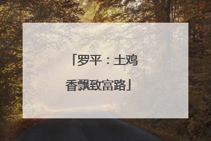 罗平：土鸡香飘致富路