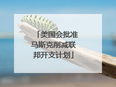 美国会批准马斯克削减联邦开支计划
