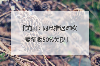 美国：同意推迟对欧盟征收50%关税