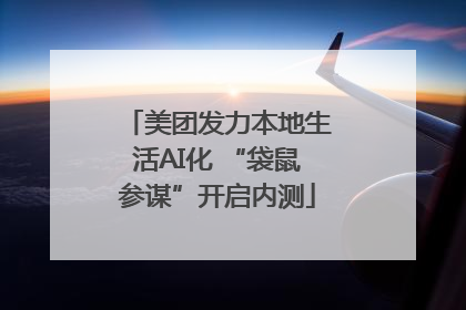美团发力本地生活AI化 “袋鼠参谋”开启内测