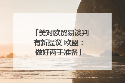 美对欧贸易谈判有新提议 欧盟：做好两手准备