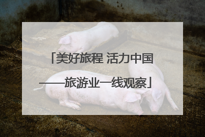 美好旅程 活力中国——旅游业一线观察