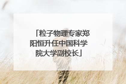 粒子物理专家郑阳恒升任中国科学院大学副校长