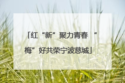 红“新”聚力青春 “梅”好共荣宁波慈城
