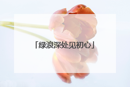 绿浪深处见初心