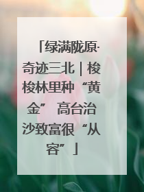 绿满陇原·奇迹三北｜梭梭林里种“黄金” 高台治沙致富很“从容”