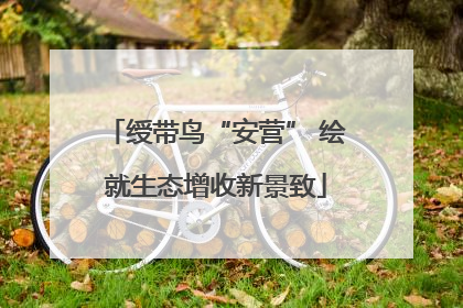 绶带鸟“安营” 绘就生态增收新景致