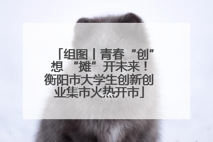组图丨青春“创”想 “摊”开未来！衡阳市大学生创新创业集市火热开市