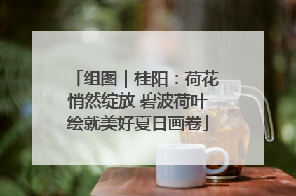 组图｜桂阳：荷花悄然绽放 碧波荷叶绘就美好夏日画卷