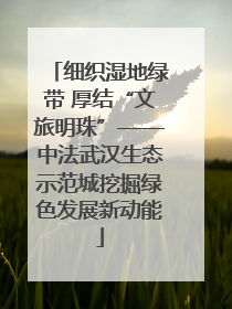 细织湿地绿带 厚结“文旅明珠”——中法武汉生态示范城挖掘绿色发展新动能