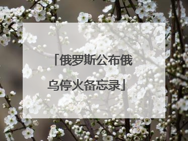 俄罗斯公布俄乌停火备忘录