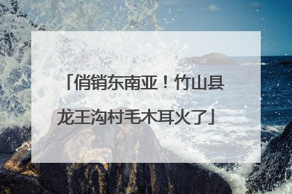 俏销东南亚！竹山县龙王沟村毛木耳火了