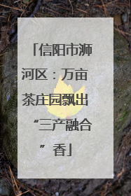 信阳市浉河区：万亩茶庄园飘出“三产融合”香
