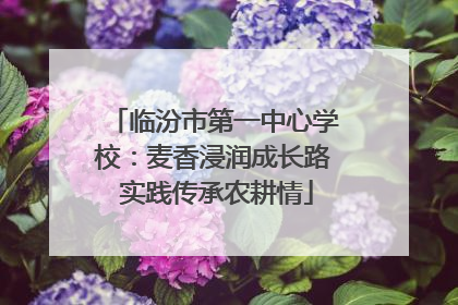 临汾市第一中心学校：麦香浸润成长路 实践传承农耕情