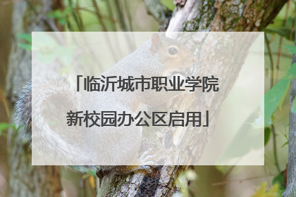 临沂城市职业学院新校园办公区启用