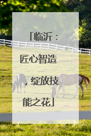 临沂：匠心智造，绽放技能之花