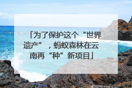 为了保护这个“世界遗产”，蚂蚁森林在云南再“种”新项目