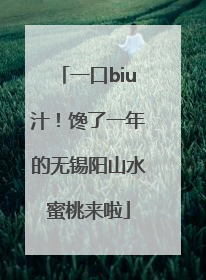 一口biu汁！馋了一年的无锡阳山水蜜桃来啦