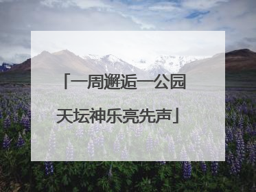 一周邂逅一公园 天坛神乐亮先声